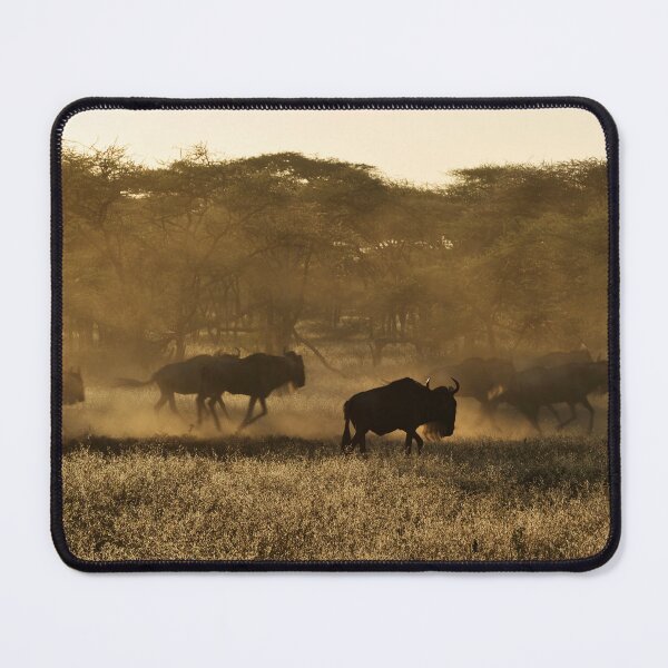 Item preview, "Golden Pass By" designed and sold by Andreas Koerner.