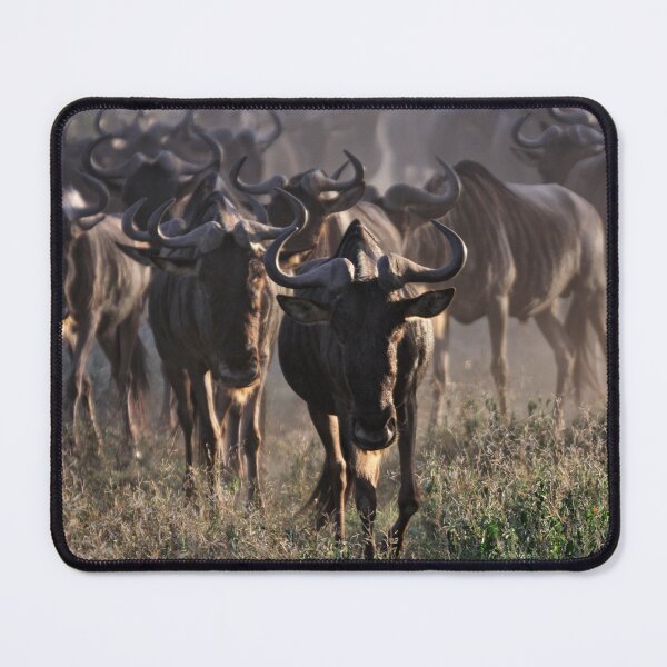 Item preview, "Face to Face" designed and sold by Andreas Koerner.