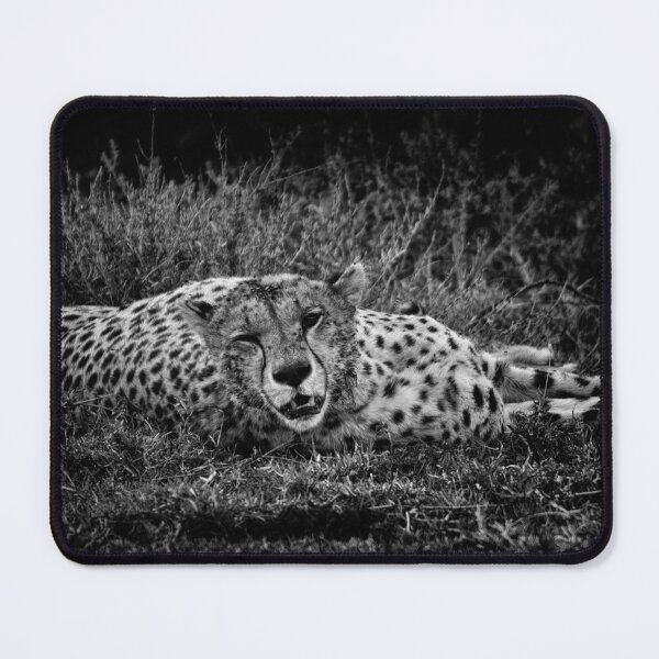 Item preview, "Hey Buddy" (B&W) - (Photo 2/3 of the Series "Dinner") designed and sold by Andreas Koerner.