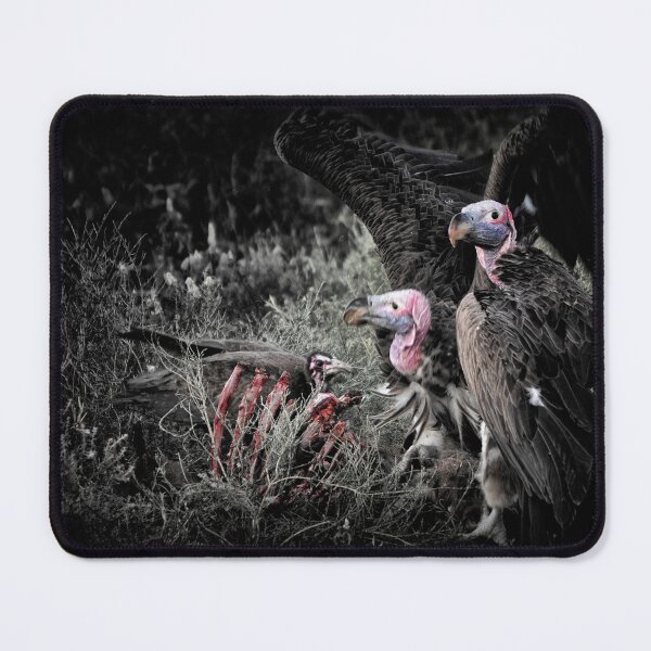 Item preview, "Dinnertime" - (Photo 1/3 of the Series "Dinner") designed and sold by Andreas Koerner.