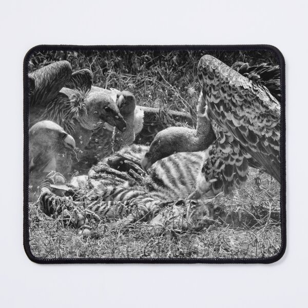 Item preview, "Le Massacre" (B&W) designed and sold by Andreas Koerner.