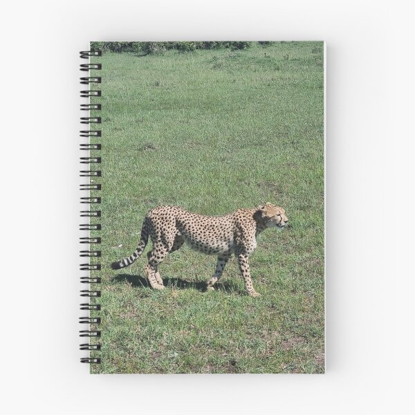 Item preview, Distinguished Cheetah designed and sold by annenambiro.