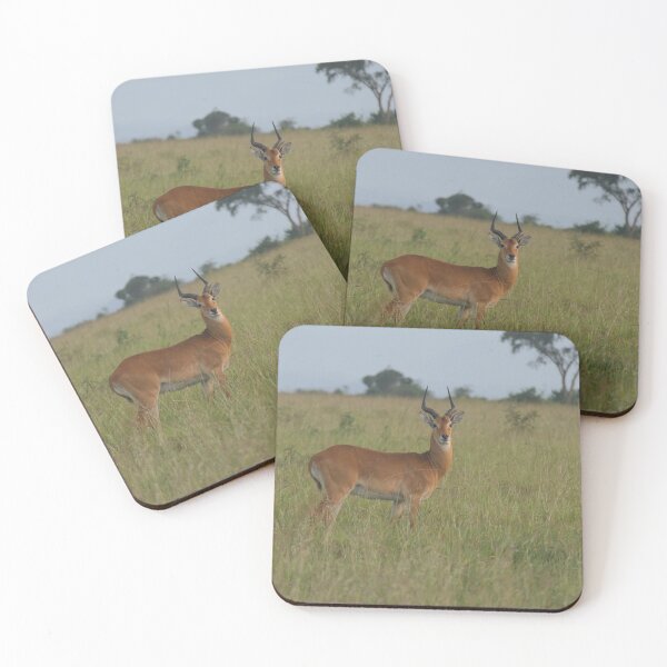 Item preview, Ugandan Kob (By Bart Coppens) designed and sold by Entomologist.