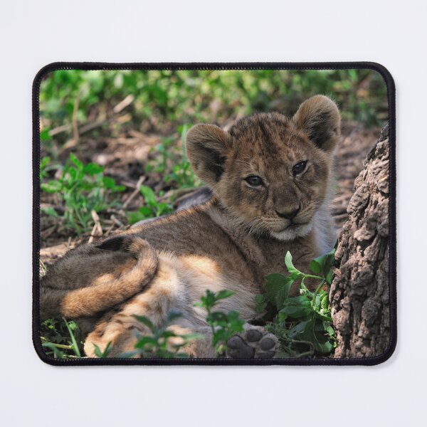 Item preview, "little charming" designed and sold by Andreas Koerner.