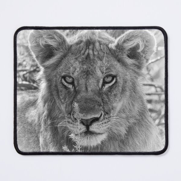 Item preview, "Eye to Eye" (B&W) designed and sold by Andreas Koerner.