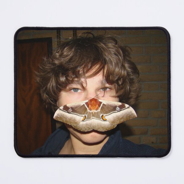 Item preview, Bart Coppens and Bunaea alcinoe designed and sold by Entomologist.