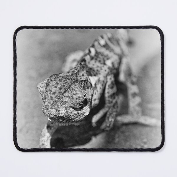 Item preview, "Walking the Line" (B&W) designed and sold by Andreas Koerner.