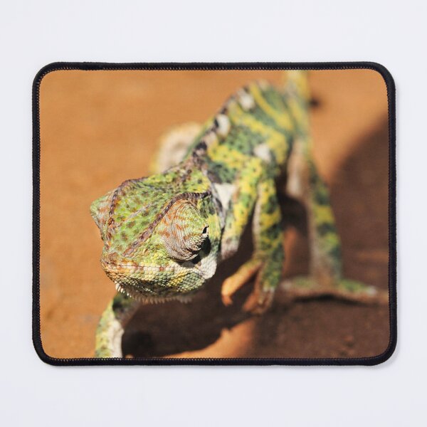 Item preview, "Walking the Line" designed and sold by Andreas Koerner.