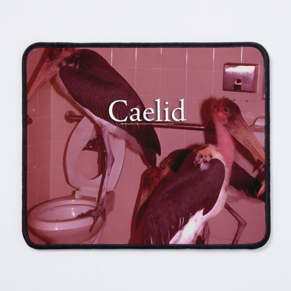 Item preview, Caelid designed and sold by birdsounds.