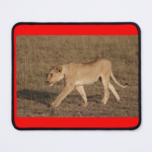Item preview, Hunting Lioness designed and sold by annenambiro.