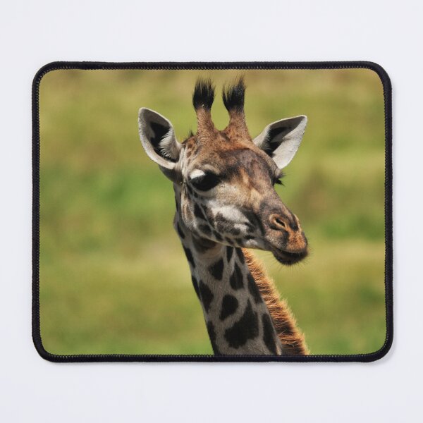 Item preview, "Attentione" designed and sold by Andreas Koerner.