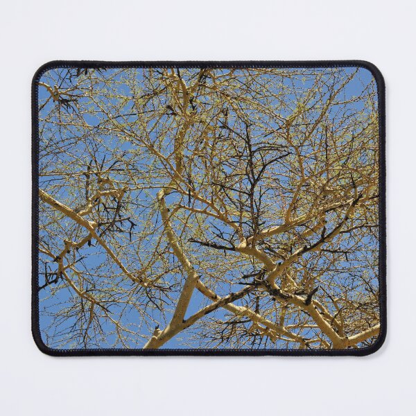 Item preview, "Yellow Umbrella" designed and sold by Andreas Koerner.