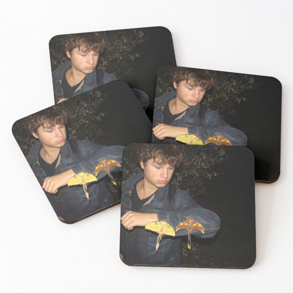 Item preview, Sulawesi Moon Moths & Bart Coppens  designed and sold by Entomologist.