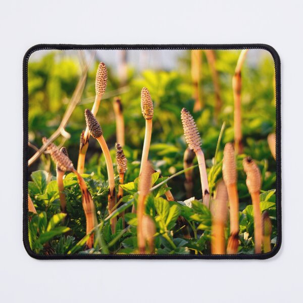 Item preview, "On the Way" designed and sold by Andreas Koerner.