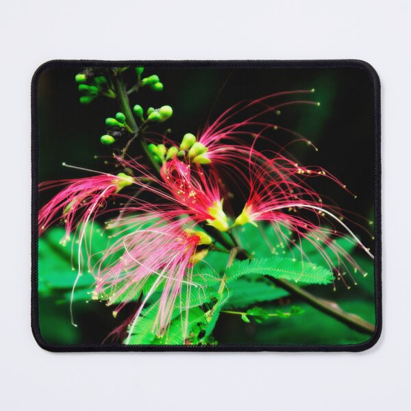 Item preview, "Filaments" designed and sold by Andreas Koerner.