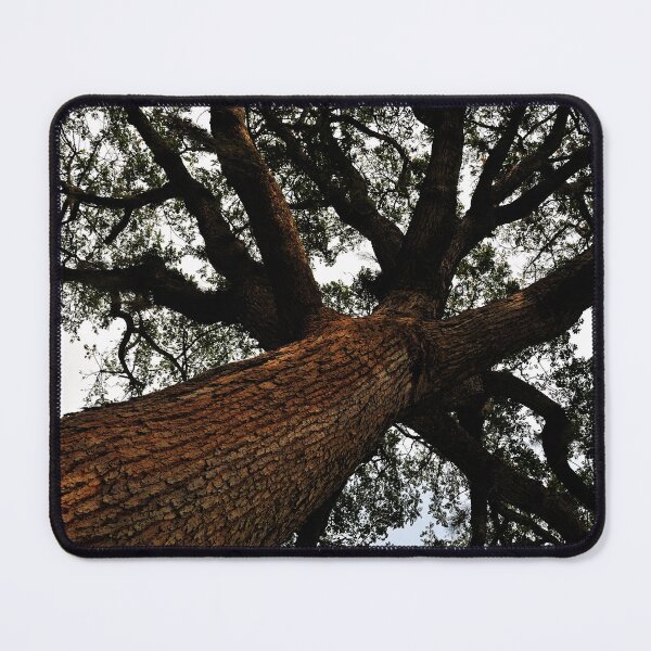 Item preview, "Hight" designed and sold by Andreas Koerner.