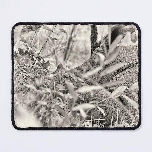 Item preview, "Save Sleep" (sepia) designed and sold by Andreas Koerner.