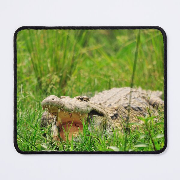 Item preview, "Open" designed and sold by Andreas Koerner.