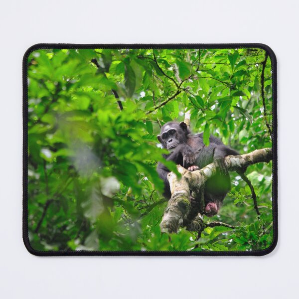 Item preview, "Resting in the Top" designed and sold by Andreas Koerner.