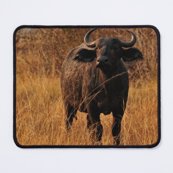 Item preview, "Strenght" designed and sold by Andreas Koerner.
