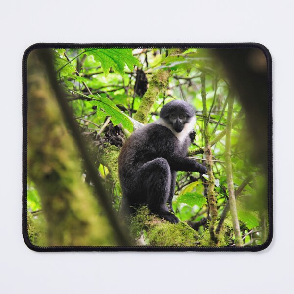 Item preview, "In the Forest" designed and sold by Andreas Koerner.