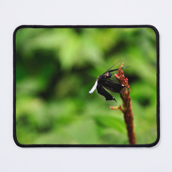 Item preview, "Drink" designed and sold by Andreas Koerner.