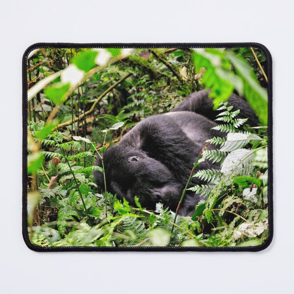 Item preview, "Nickerchen of a true ugandan Giant" - II designed and sold by Andreas Koerner.