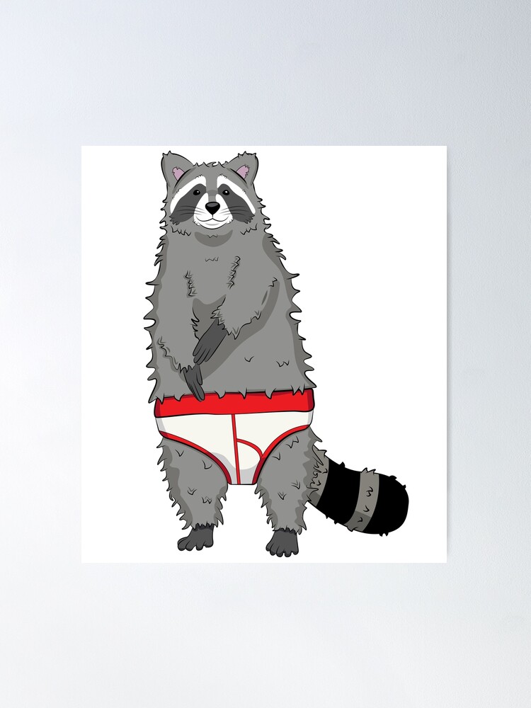 Underwear Raccoon