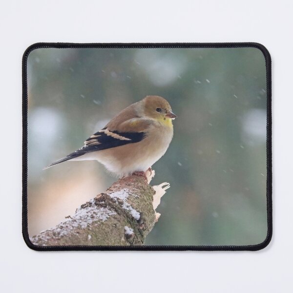 Item preview, Goldfinch In The Cold Of Winter designed and sold by Deb Oppermann.