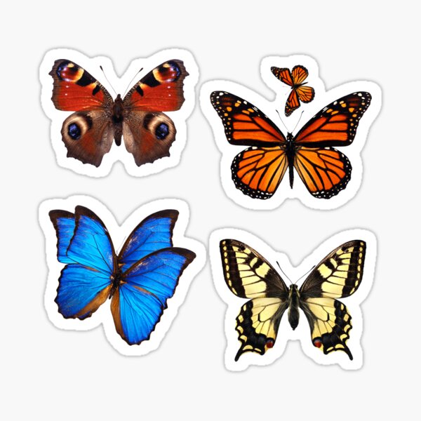 Item preview, Butterflies designed and sold by AleksaDesignMTL.