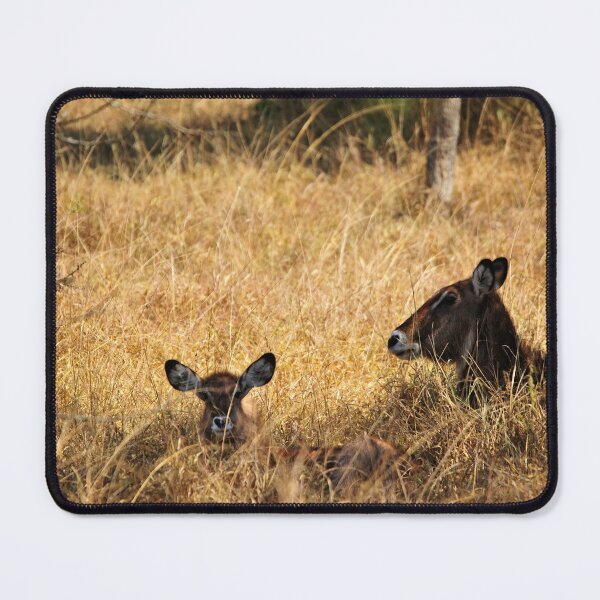 Item preview, "Relax - Siesta ole" designed and sold by Andreas Koerner.