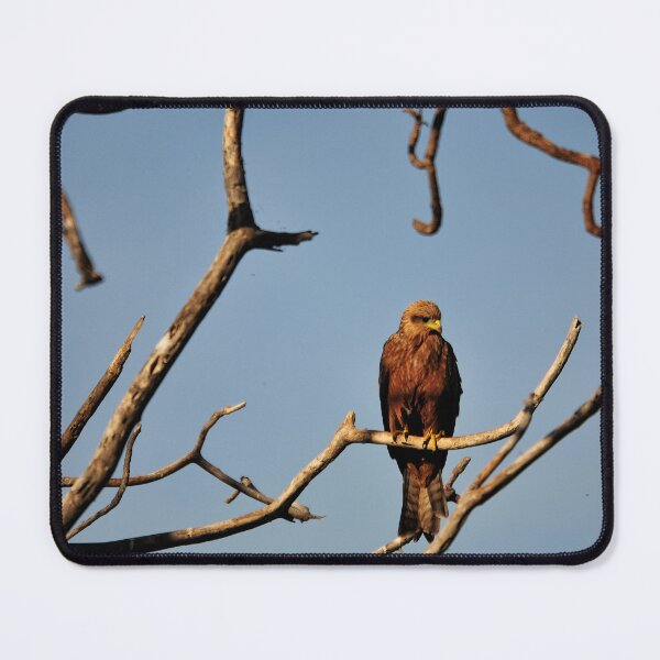 Item preview, "Observer" designed and sold by Andreas Koerner.