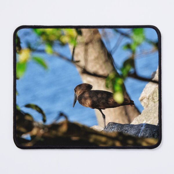 Item preview, "In the Shadow" designed and sold by Andreas Koerner.