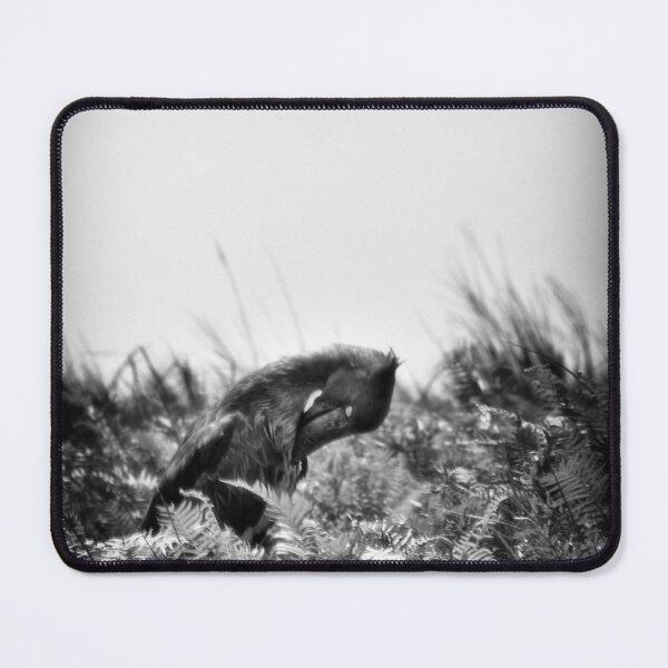 Item preview, "Bow" (B&W) designed and sold by Andreas Koerner.