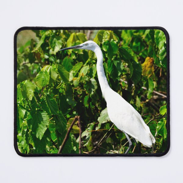 Item preview, "Waiting for the big Catch" designed and sold by Andreas Koerner.