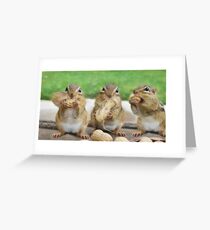 Say "Cheese" (or Peanuts) Greeting Card