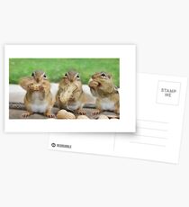 Say "Cheese" (or Peanuts) Postcards