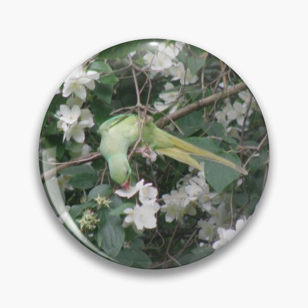 Item preview, Green Parakeet Eating Pretty Flowers designed and sold by naturegallery.