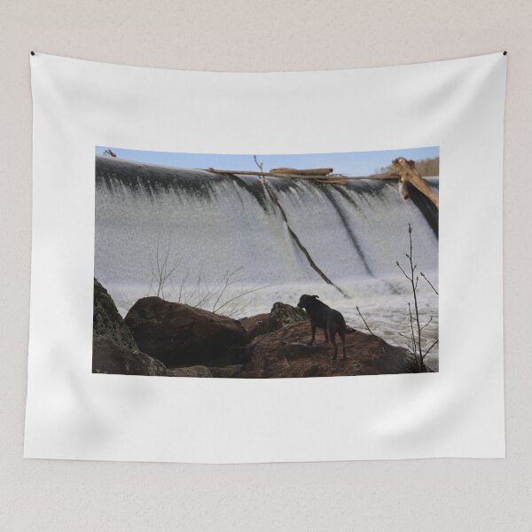 Item preview, Dam Dog designed and sold by rbfrog.