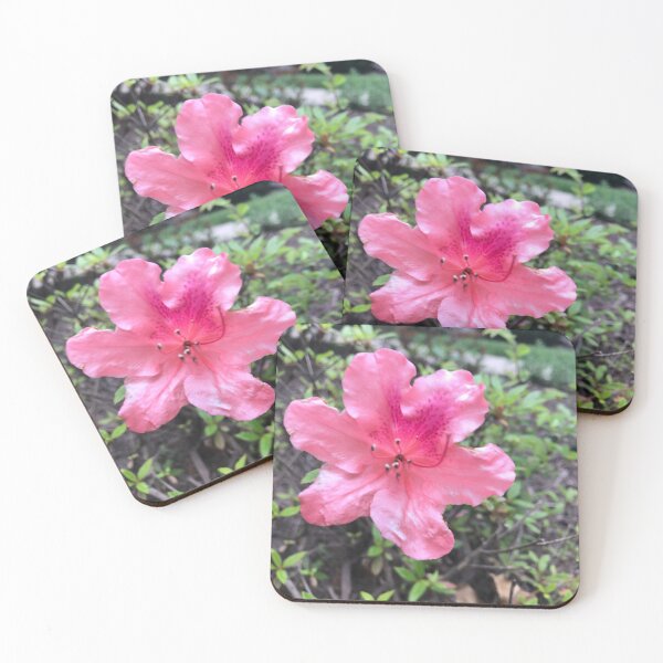 Item preview, Pink azalea  designed and sold by Sarah Meytin.