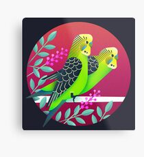 Wild Australian Budgerigars Metal Print