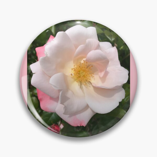 Item preview, Delicate China Rose  designed and sold by Sarah Meytin.