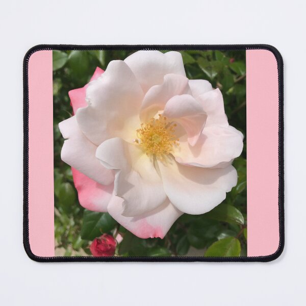 Item preview, Delicate China Rose  designed and sold by Sarah Meytin.