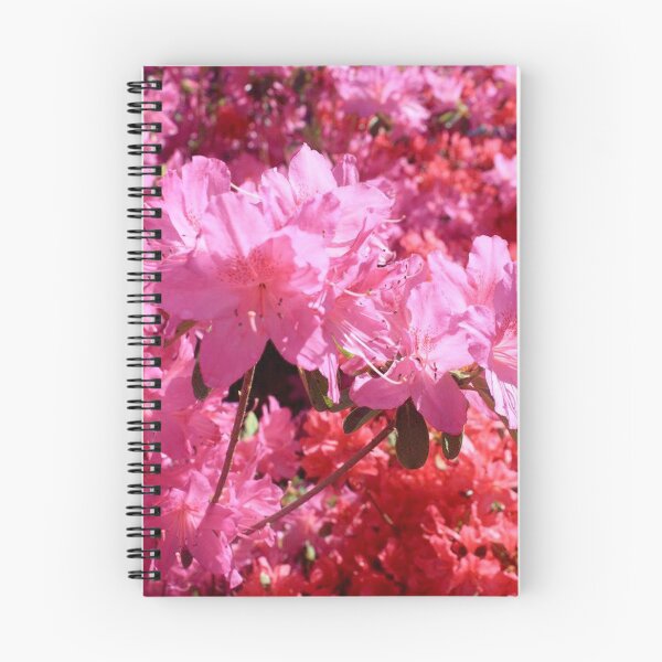 Item preview, Azaleas designed and sold by Salte.