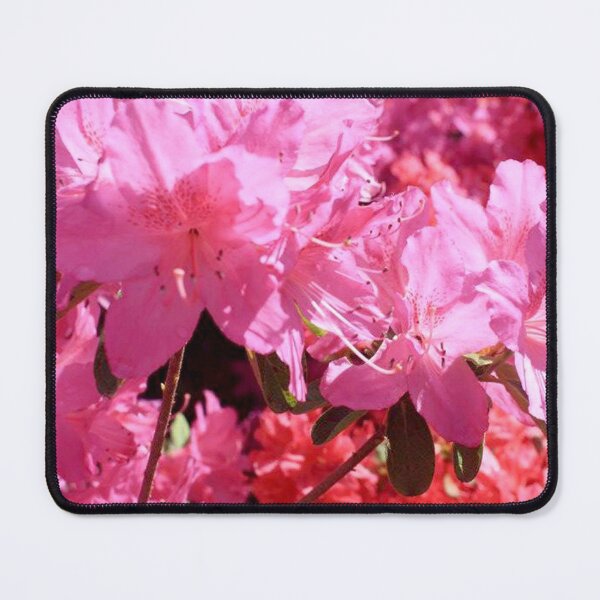 Item preview, Azaleas designed and sold by Salte.