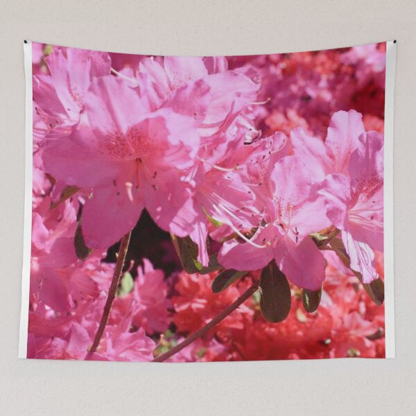 Item preview, Azaleas designed and sold by Salte.
