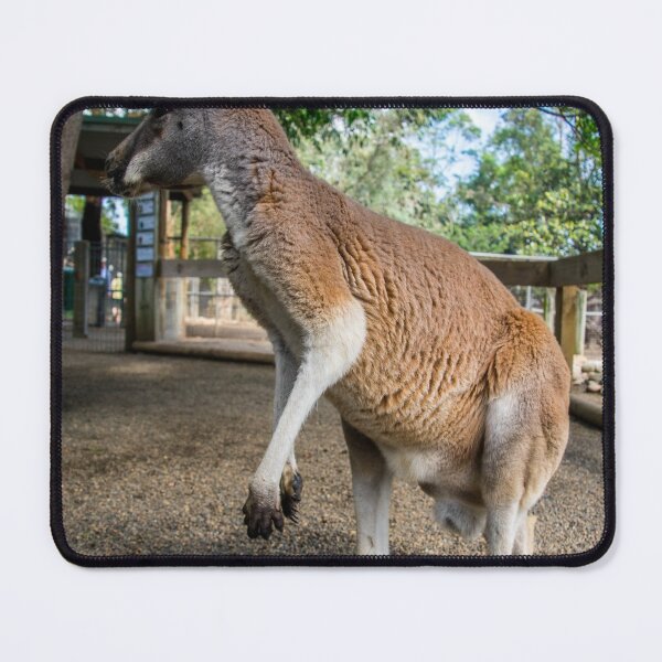 Item preview, Wallaby Hoping designed and sold by Nathan Garland.