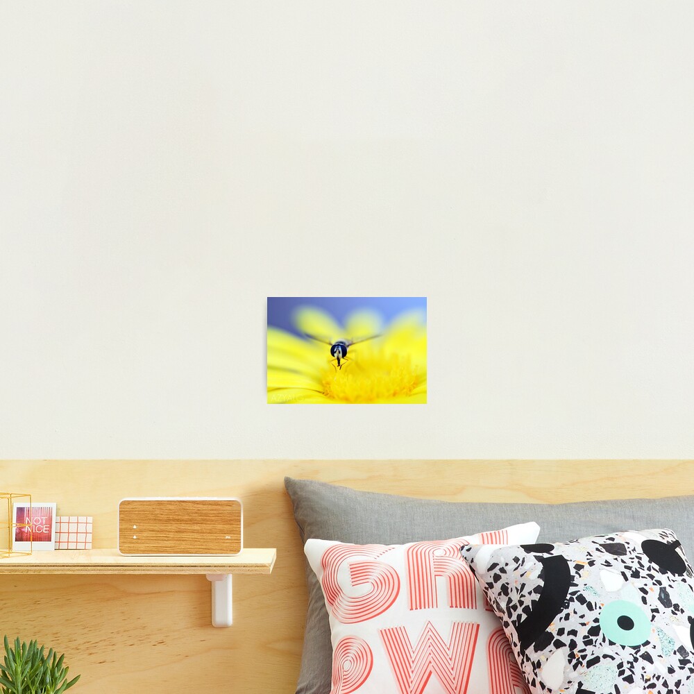 Item preview, Photographic Print designed and sold by azyalg.