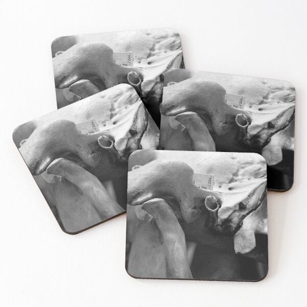 Item preview, SKULL 003 - Abstract Gothic Photography - Specimen designed and sold by SageFolio.
