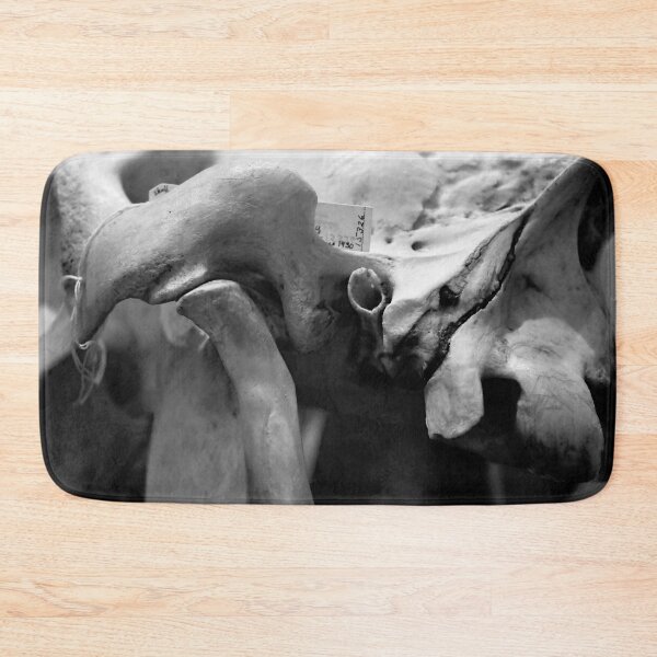 Item preview, SKULL 003 - Abstract Gothic Photography - Specimen designed and sold by SageFolio.